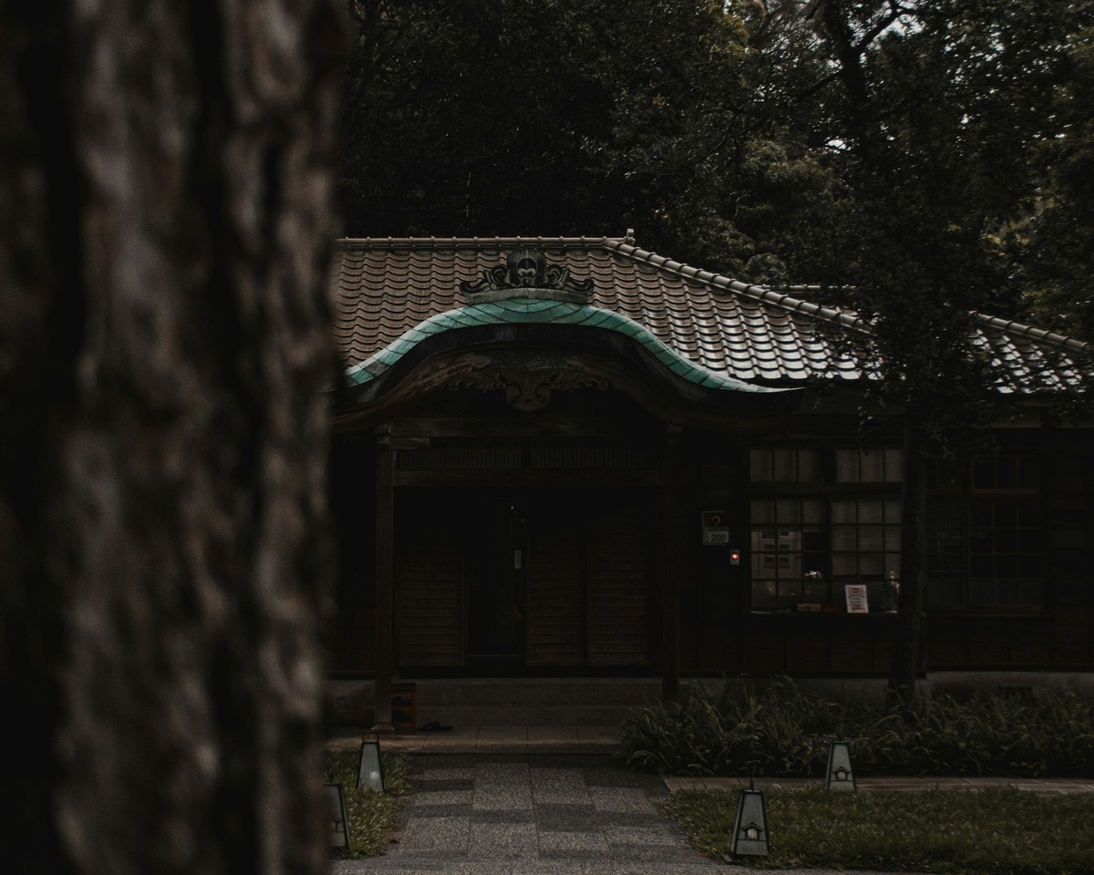 佐藤 美咲
